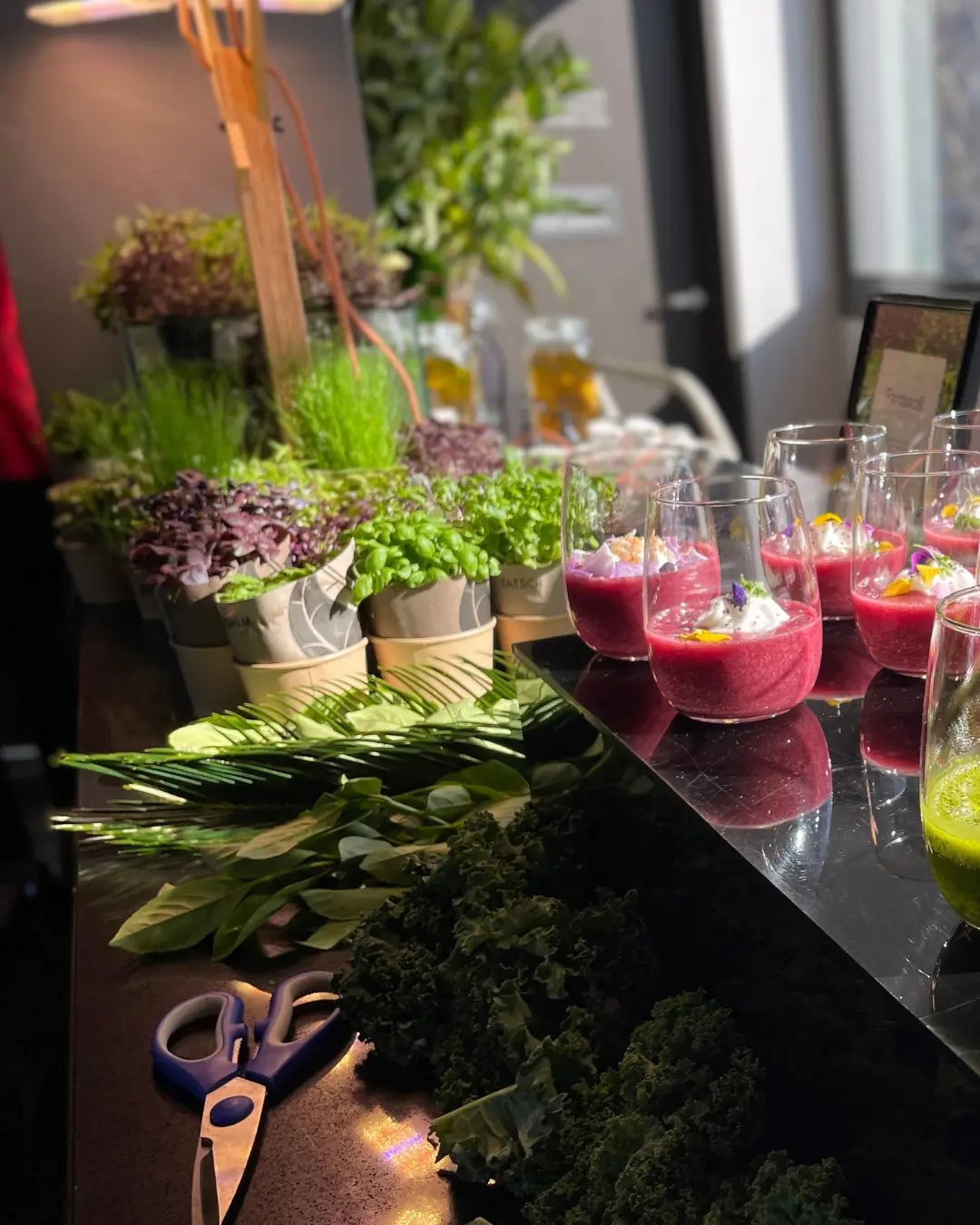 A harvest table with microgreens, kale and fresh drinks