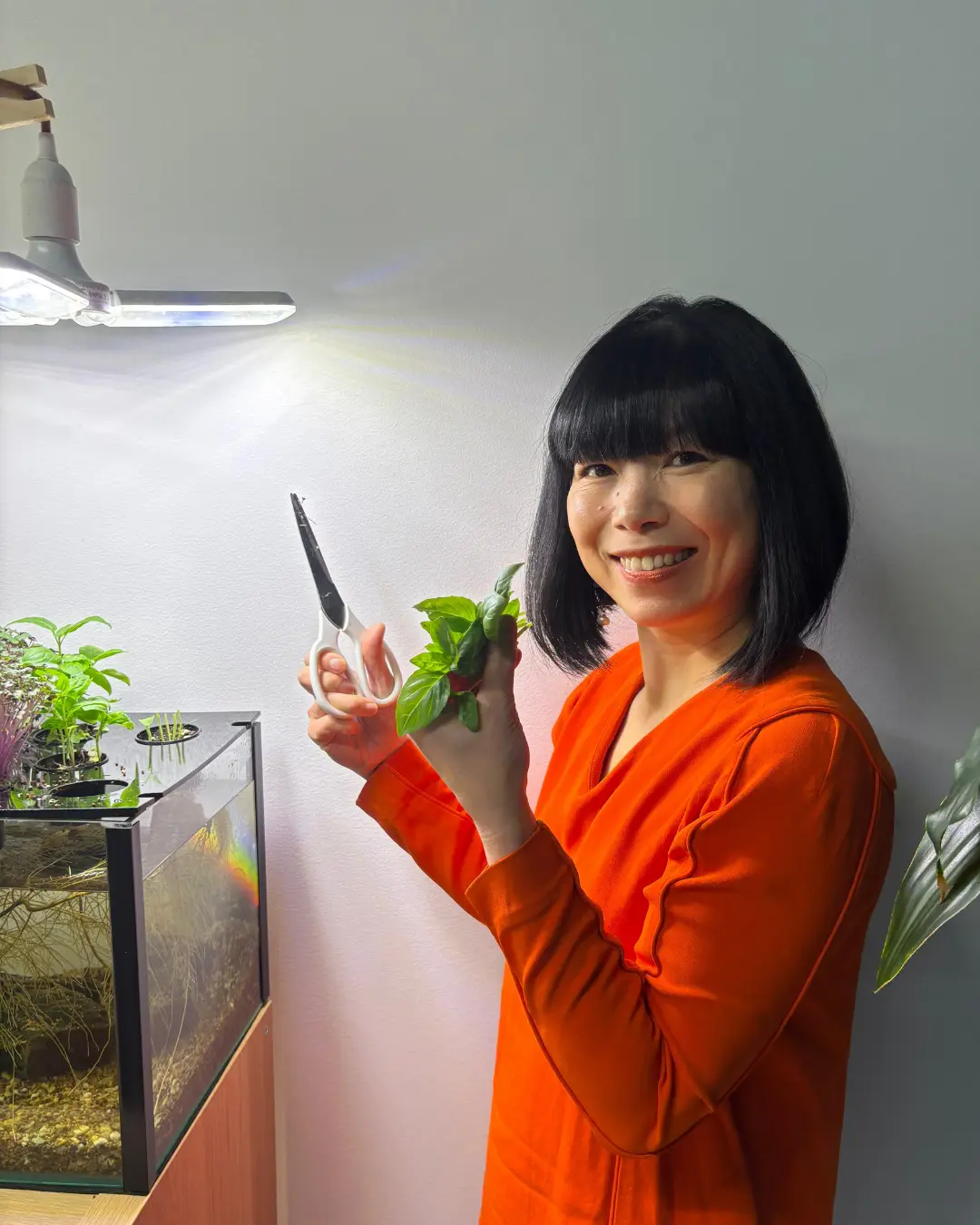A Farmwall grower holding scissors and freshly cut basil beside her Pocket
