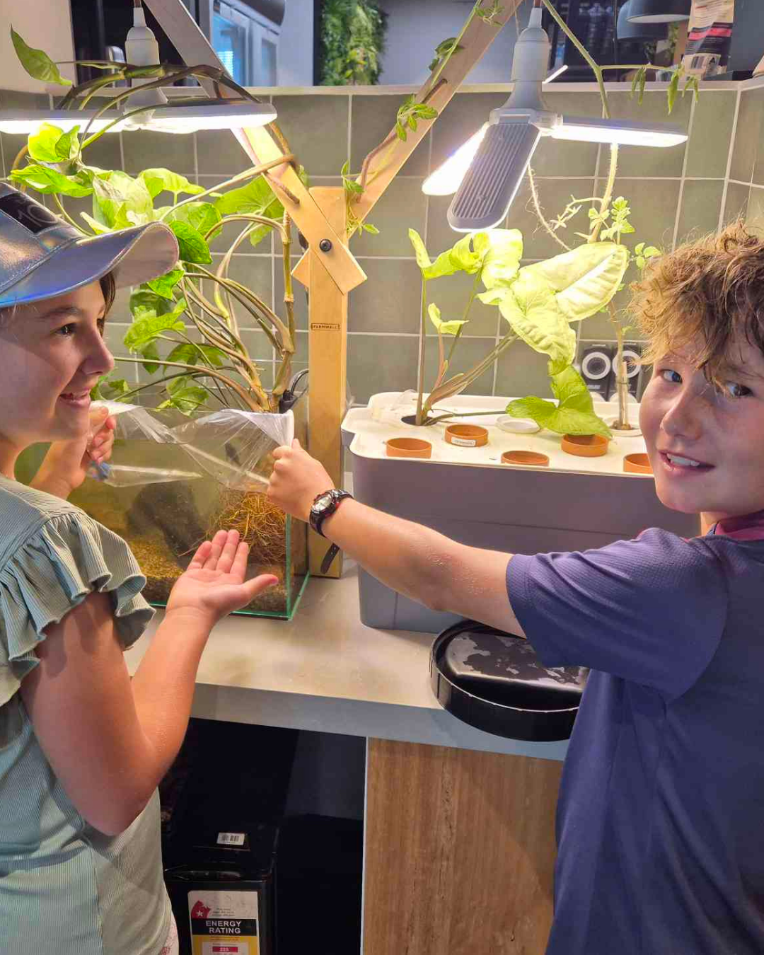Two children feeding the fish in their Farmwall Pocket aquarium between the grow lights