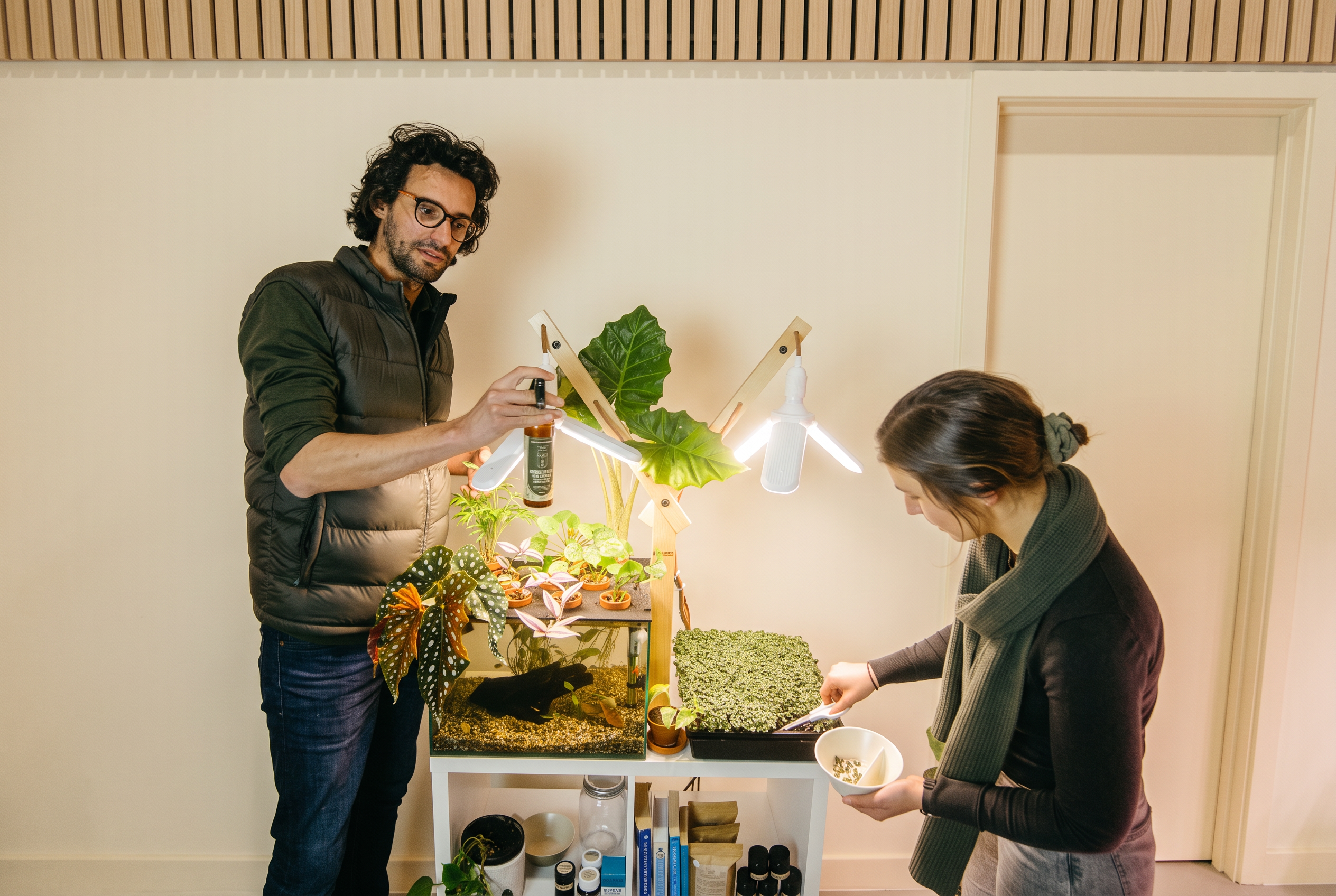 work Farmwall growing environment, illustrative setting